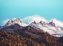 世界杯开云-杰伦布朗和亚历山大分别当选NBA东西部周最佳球员