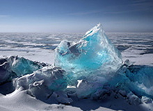 世界杯开云-杰伦布朗和亚历山大分别当选NBA东西部周最佳球员